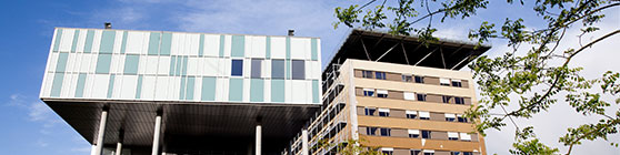 le Groupe hospitalier Sud
