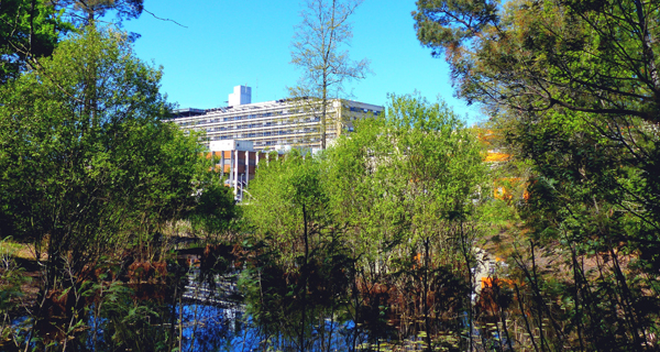 rdv biodiversité