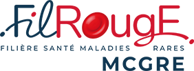 logo file rouge