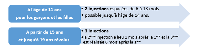 Schéma vaccinal