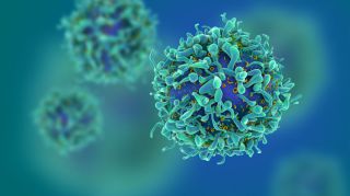 3d-illustration-t-cells-CAR-T-ss-FEATURE