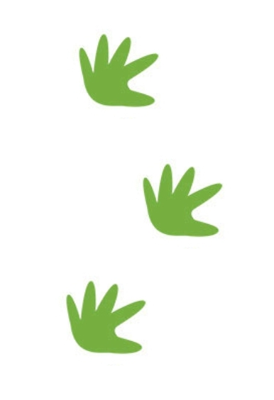 pattes crocodile chemin IRM URB hopital des enfants chu Bordeaux