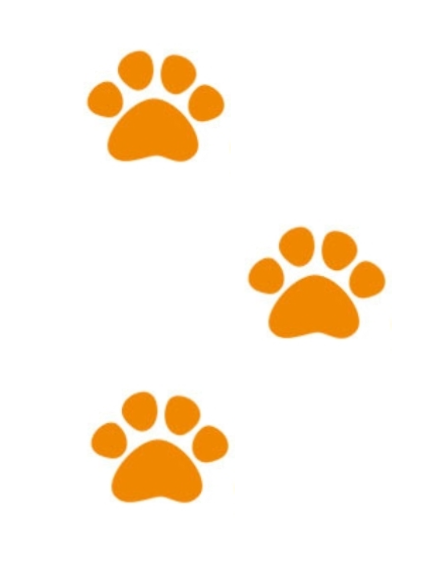 pattes lion trajet salon ambulatoire URB hopital des enfants CHU Bordeaux chirurgie infantile