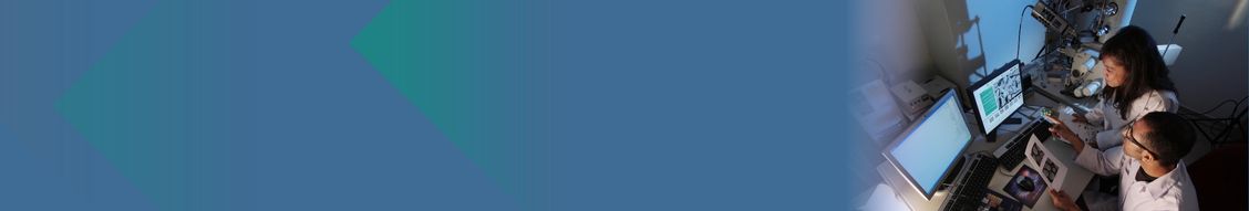 Activités et structuration