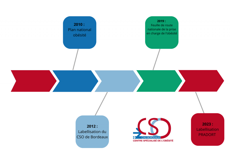 2010  Plan national obésité