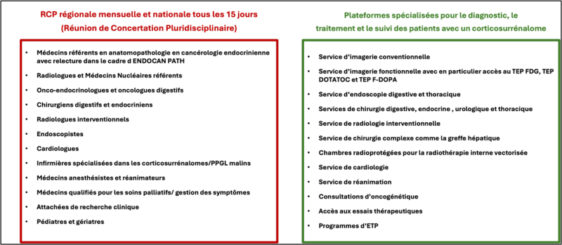 schema cancer Tumeurs endocrines et cancers de la thyroïde 
