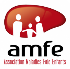amfe_logo_v2__022727100_1735_19012012