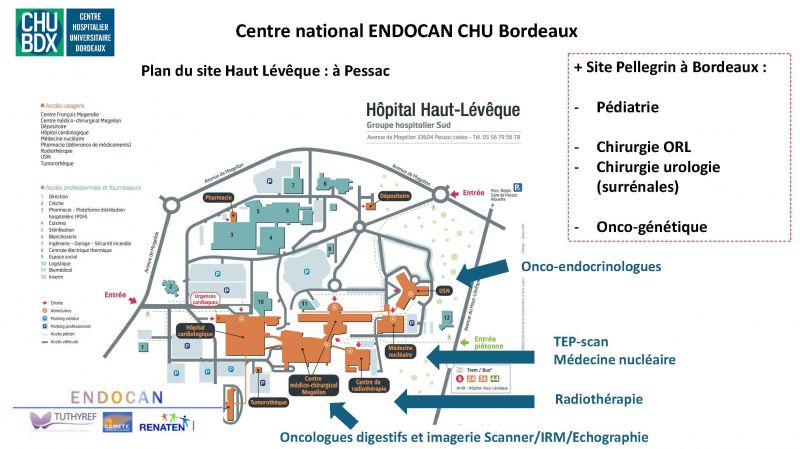 plan CHU - Hopital haut-lévêque à pessac localisation plan CHU - Hopital haut-lévêque à pessac localisation