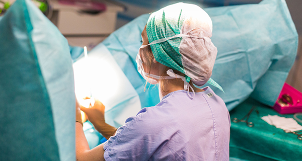 activite_de_soins_assistance_medicale_procreation_chu_bordeaux