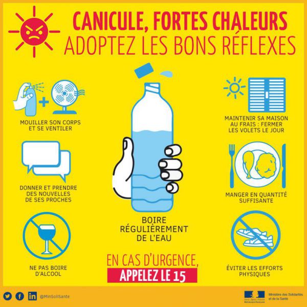 bon reflexes, canicule