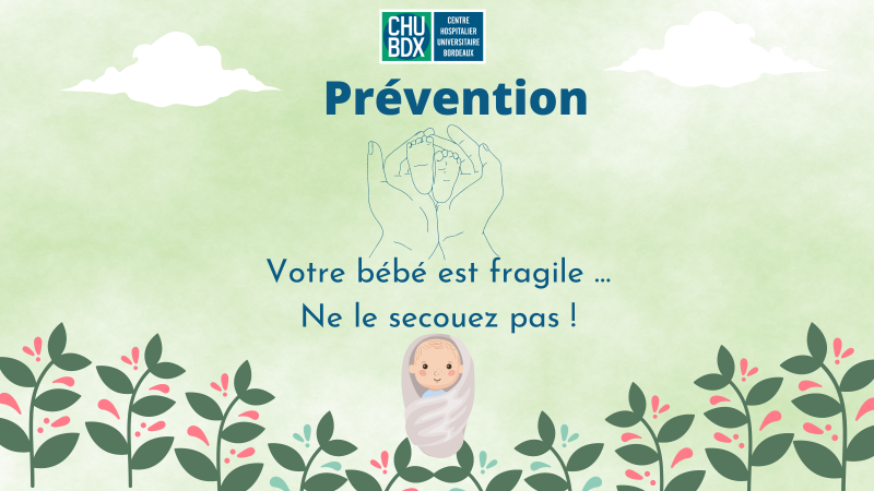 Votre bébé est fragile Ne le secouez pas !