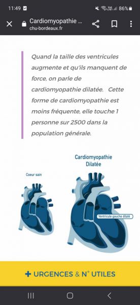Projet cardiologie écran