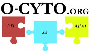 LOGO O-CYTO 3