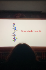 Projection poèmes à l'Utopia de Bordeaux