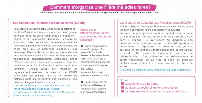 Organisation filière maladies rares