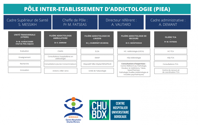 Organisation et gouvernance par filière du pôle inter établissement addictologie Organisation et gouvernance par filière du pôle inter établissement addictologie