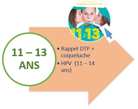Age 11-14 ans