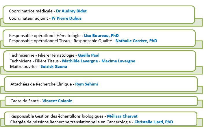 Organigramme Janvier 2026