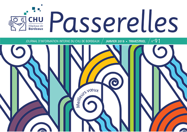 Passerelles CHU de Bordeaux 91-1