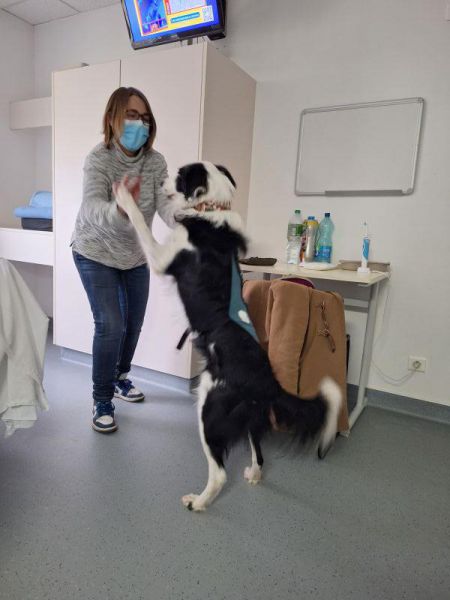 Muriel qualifiée en médiation animale et intervient bénévolement tous les mercredis dans le service d'oncologie digestive du groupe hospitalier Sud et sa chienne lila