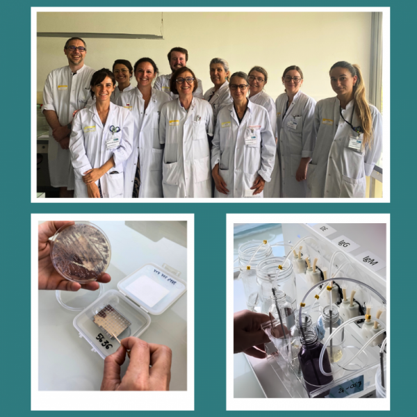 équipe_Laboratoire de Parasitologie Mycologie_chu_bordeaux