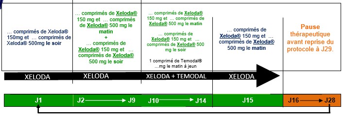 xeloda et temodal