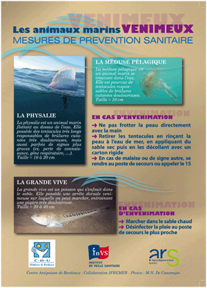 Animaux-Marins-Venimeux-Chu-Bordeaux