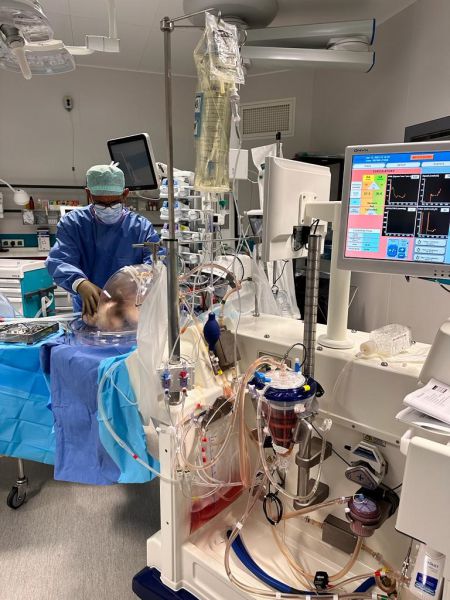 perfusion ex-vitro au bloc