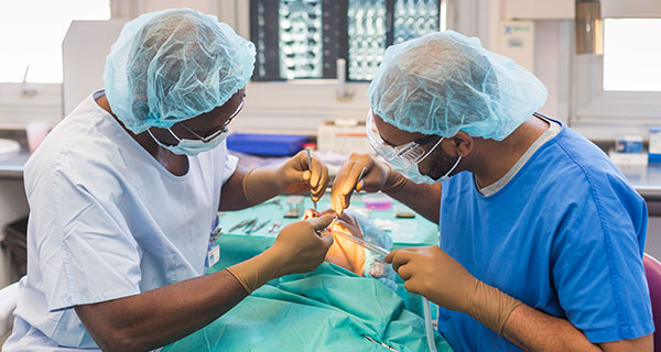 6odontologie_5_chu_de_bordeaux