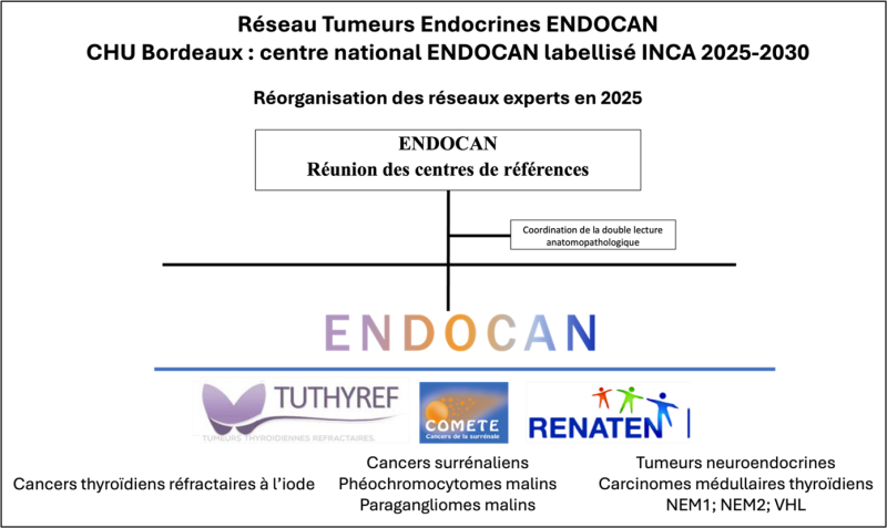 reseau tumeurs endocrines ENDOCAN CHU DE BORDEAUX reseau tumeurs endocrines ENDOCAN CHU DE BORDEAUX