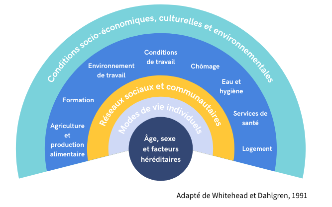 Modèle des déterminants de la santé