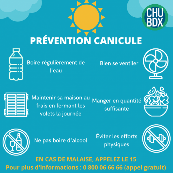 Visuel Canicule