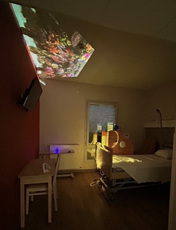 chambre avec projection image de l'unité de soins palliatifs à l'hôpital Xavier Arnozan du CHU de Bordeaux chambre avec projection image de l'unité de soins palliatifs à l'hôpital Xavier Arnozan du CHU de Bordeaux