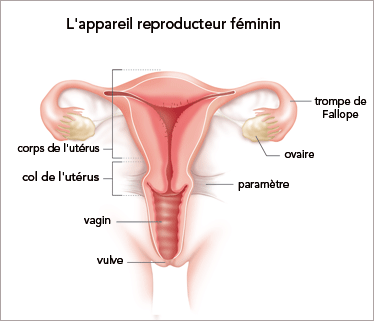Cancer-col-uterus-CHU-Bordeaux