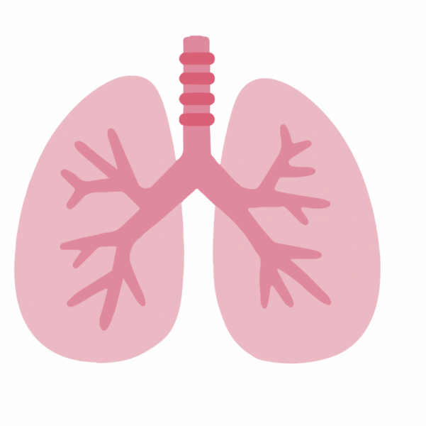 pneumologie