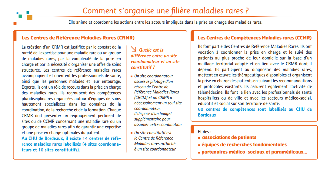 organisation filière maladies rares organisation filière maladies rares