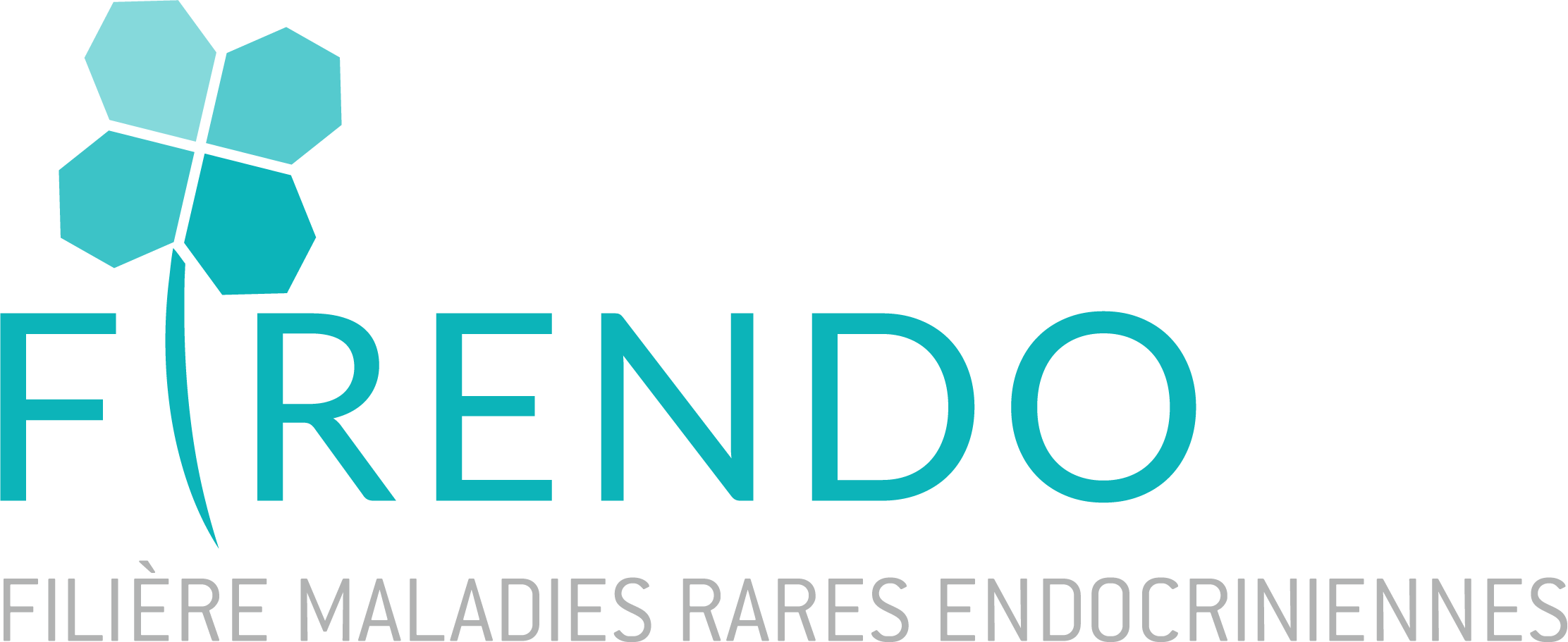 FIRENDO filière de santé maladie rare