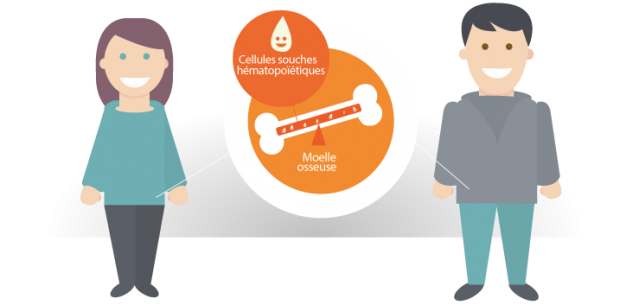 Moelle mettre copiright agence de la biomedecine