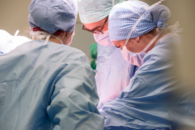 202510_HTL_ChirDig_©FredEncuentra-BarbotStudio_197