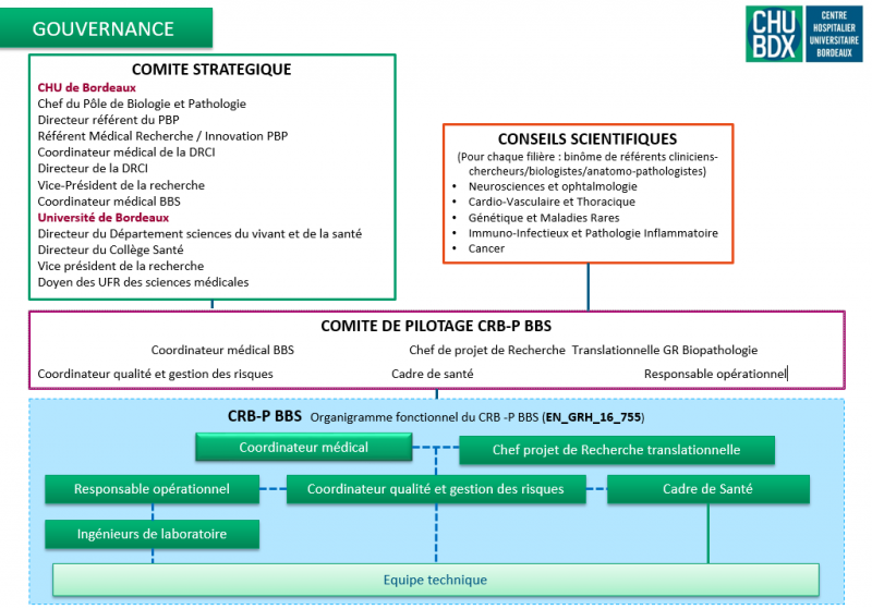 Organigramme 1