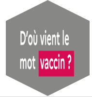 Capture d'écran 7