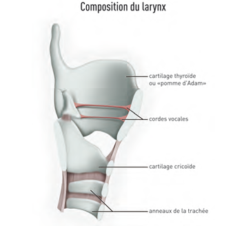 Cancer-larynx-CHU-Bordeaux