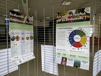 expo_biodiv3