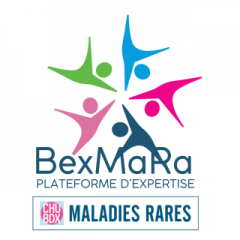 LOGO PEMR BexMaRa