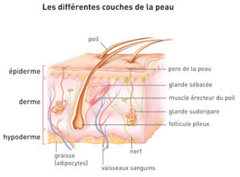 melanome-CHU-Bordeaux