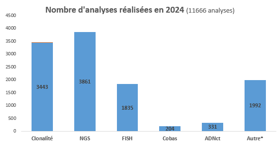 activite SBT