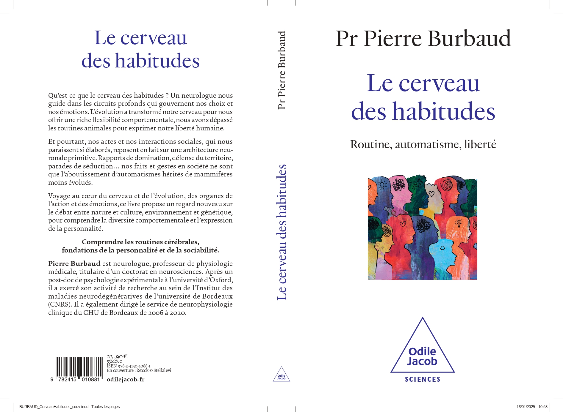 BURBAUD_CerveauHabitudes
