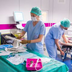 pole_obstetrique_gynecologique_reproduction_chu_bordeaux