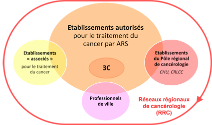 schema-organisation-3c-CHU-Bordeaux