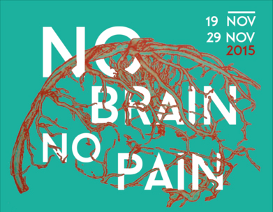 noBrainNoPainCHUBordeaux